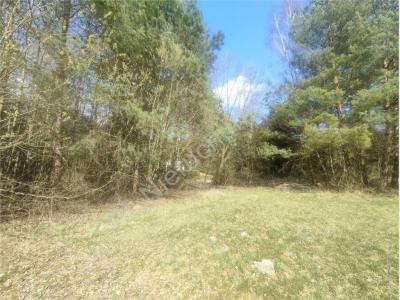 Działka na sprzedaż Skuły