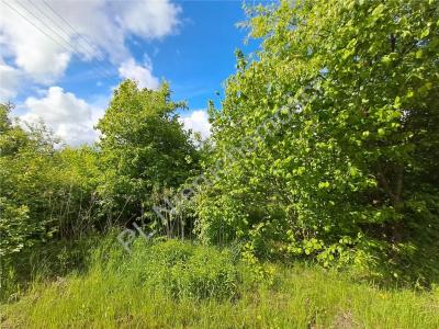 Działka na sprzedaż Budy-Grzybek