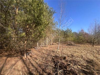 Działka na sprzedaż Książenice