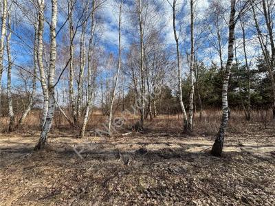 Działka na sprzedaż Jastrzębnik