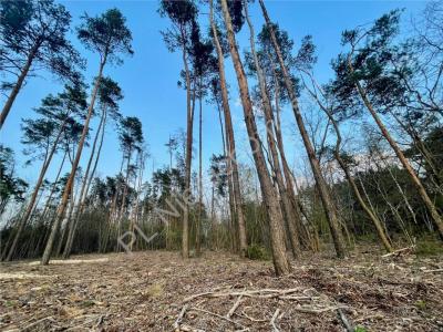 Działka na sprzedaż Odrano-Wola