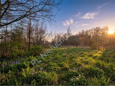 Działka na sprzedaż Owczarnia