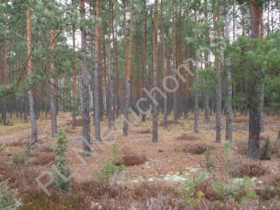 Działka na sprzedaż Stary Karolinów