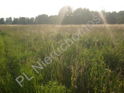 Działka na sprzedaż Jaktorów