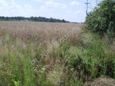 Działka na sprzedaż Nieborów