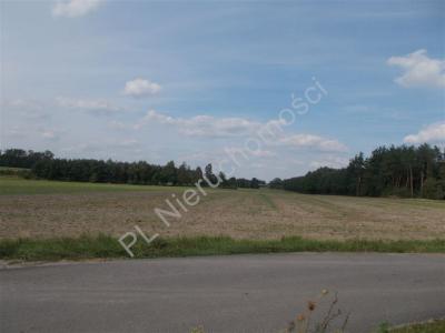 Działka na sprzedaż Biernik