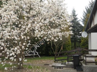 Dom na sprzedaż Grodzisk Mazowiecki